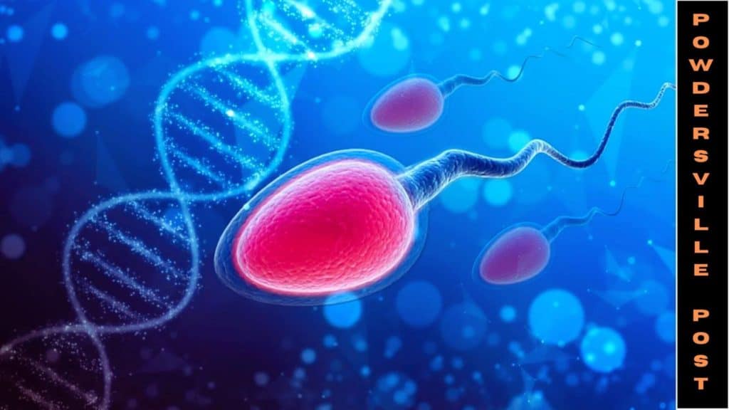 Covid Might Cause Low Sperm Count Study Reveals