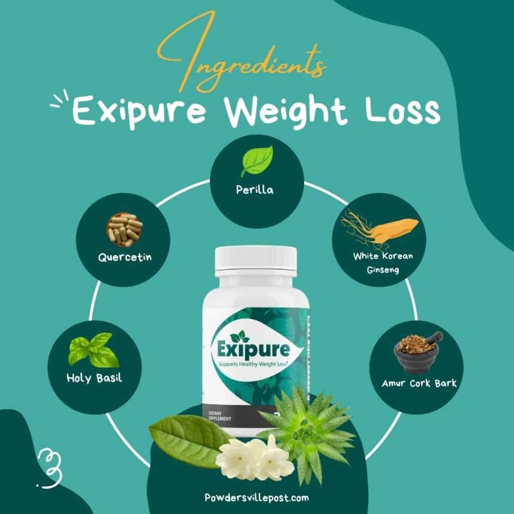 More About Exipure Ingredients