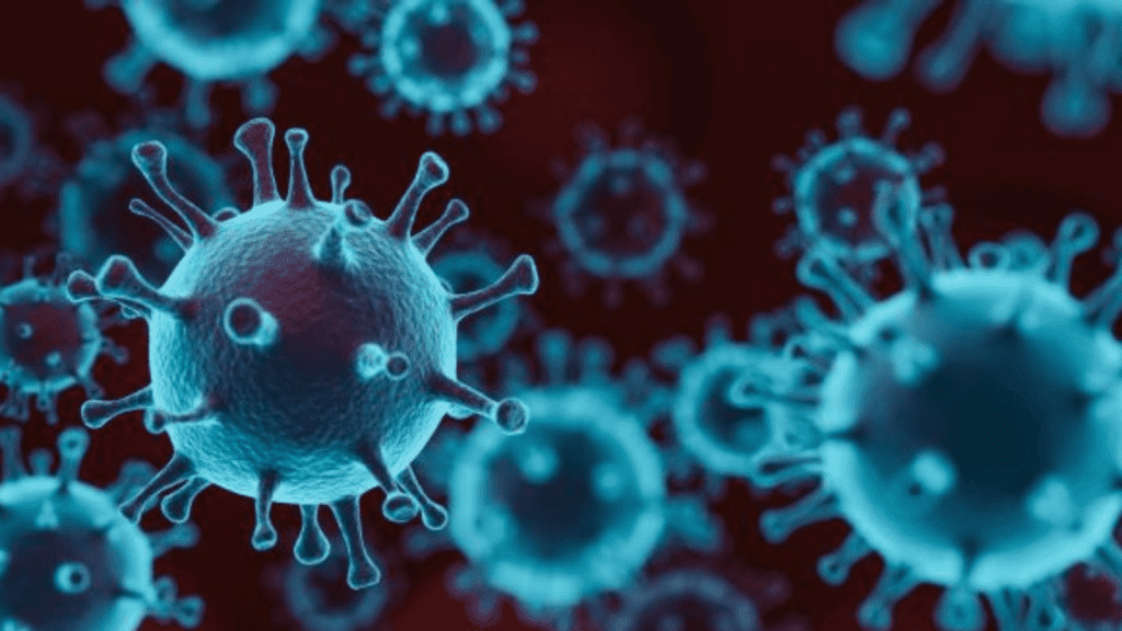 Fat Cells Hiding The Coronavirus?