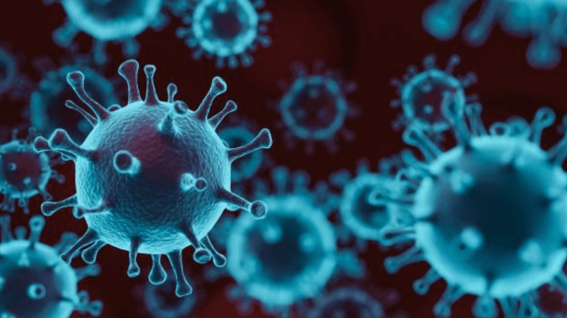 Fat-Cells-Hiding-The-Coronavirus