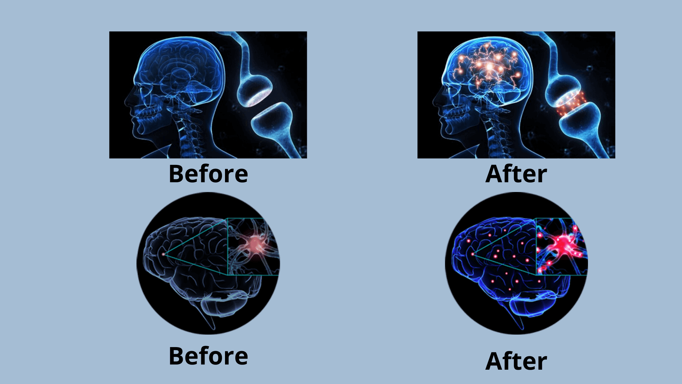 Mushroom Brain Focus Results