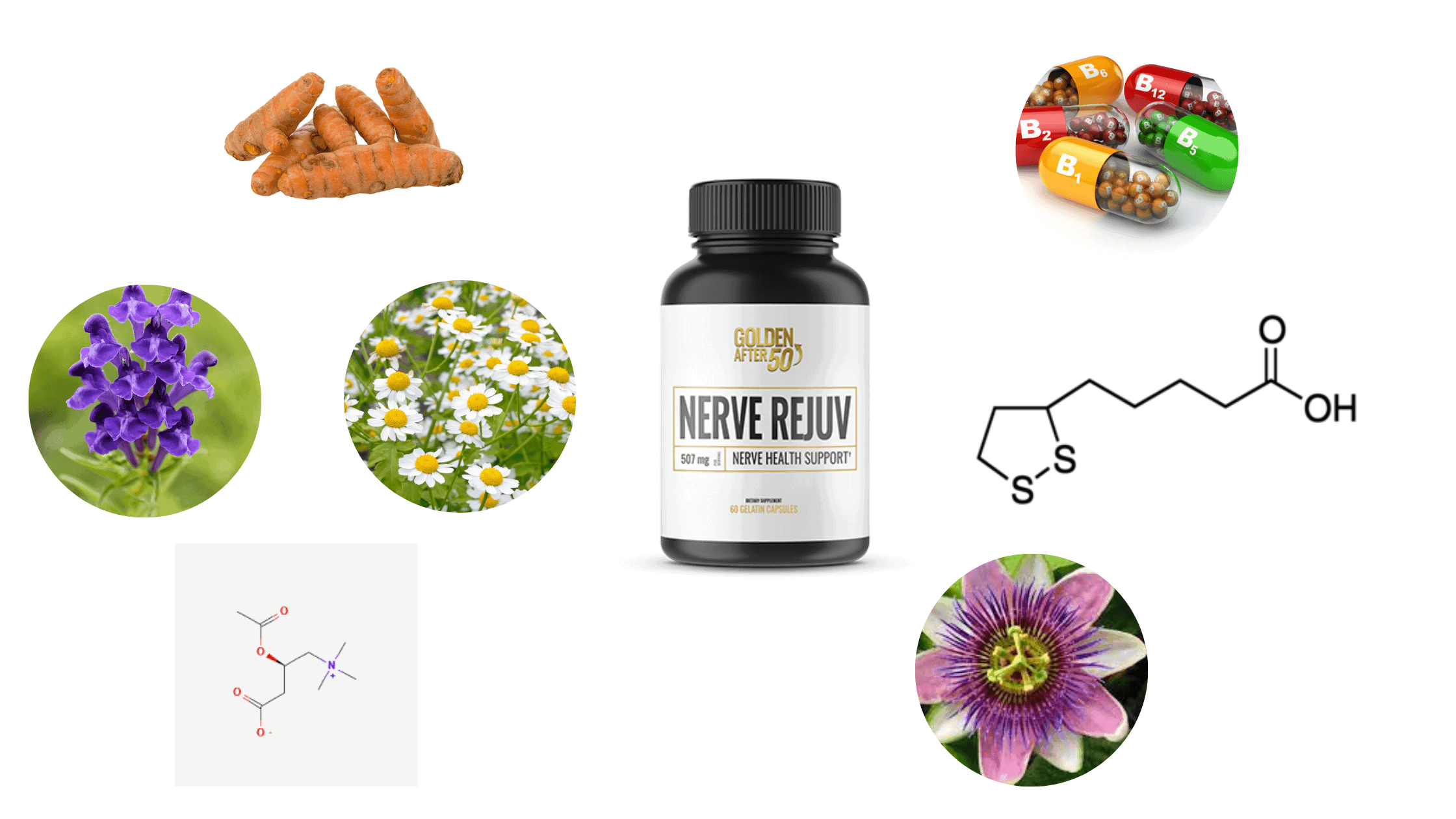  Nerve Rejuv Ingredients