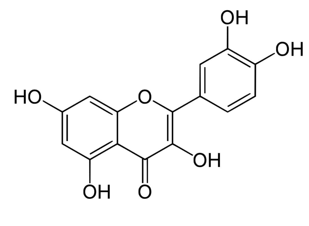 Ingredient 2 - N-Acetyl L-Cysteine
