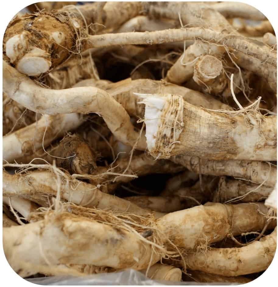 Ingredient 6 - Horseradish Root 