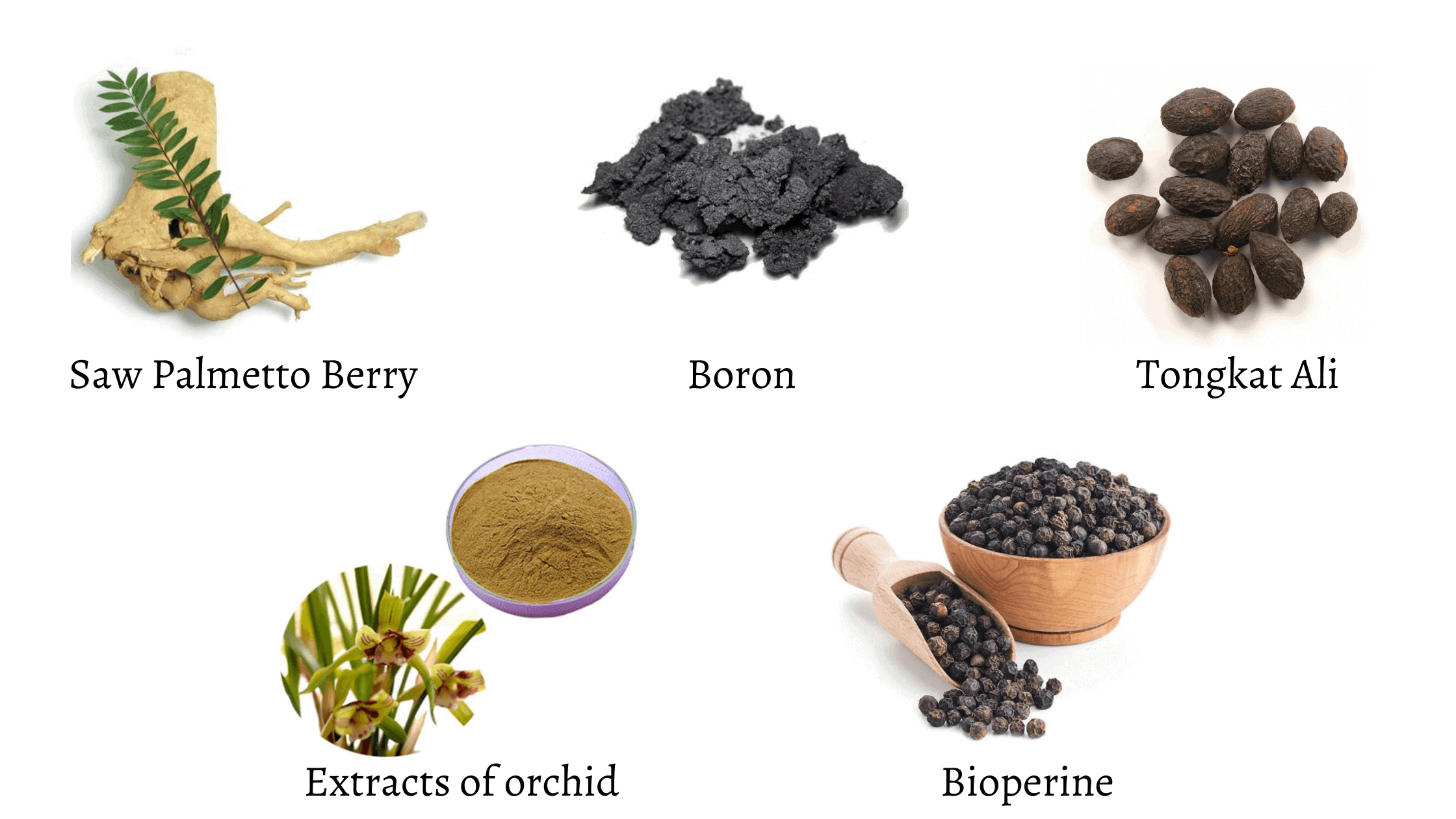 VigorNow Ingredients
