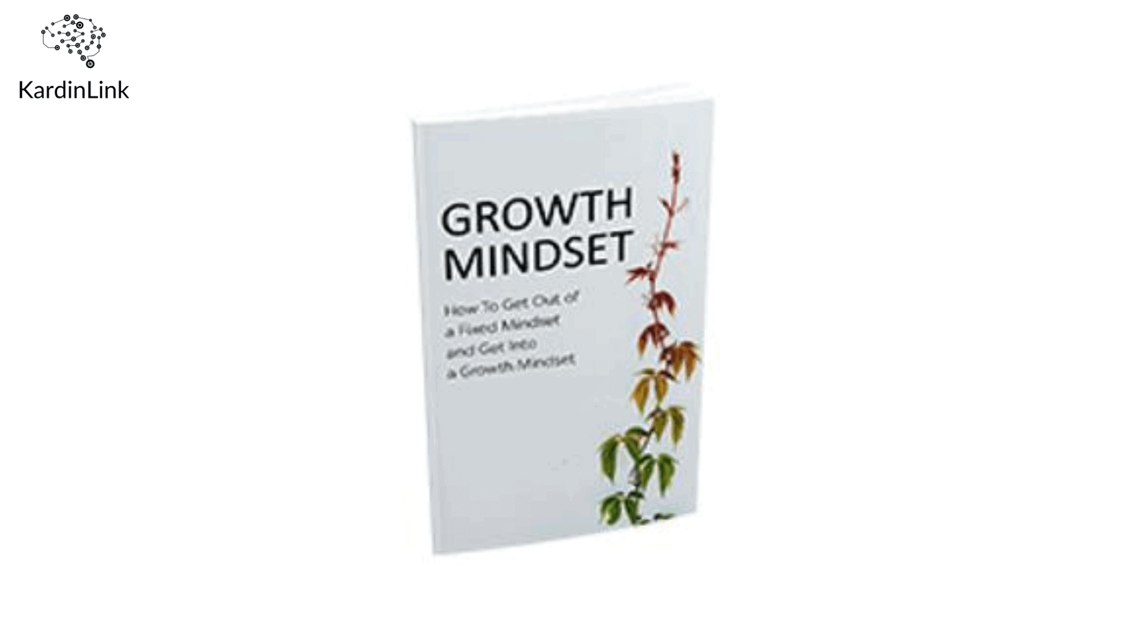 Growth Mindset ebook