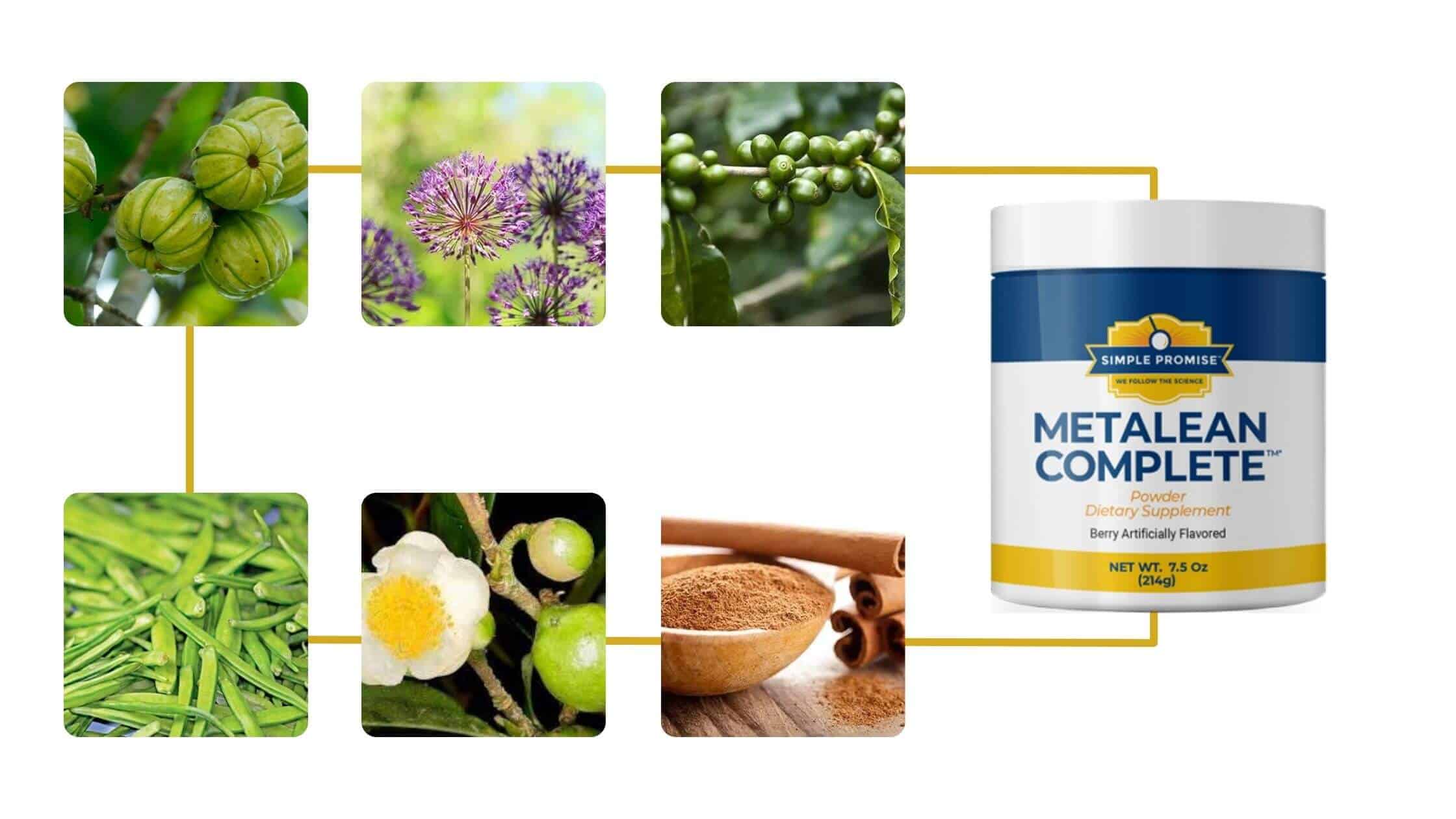 MetaLean Complete Ingredients