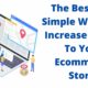 Traffic To Ecommerce Store