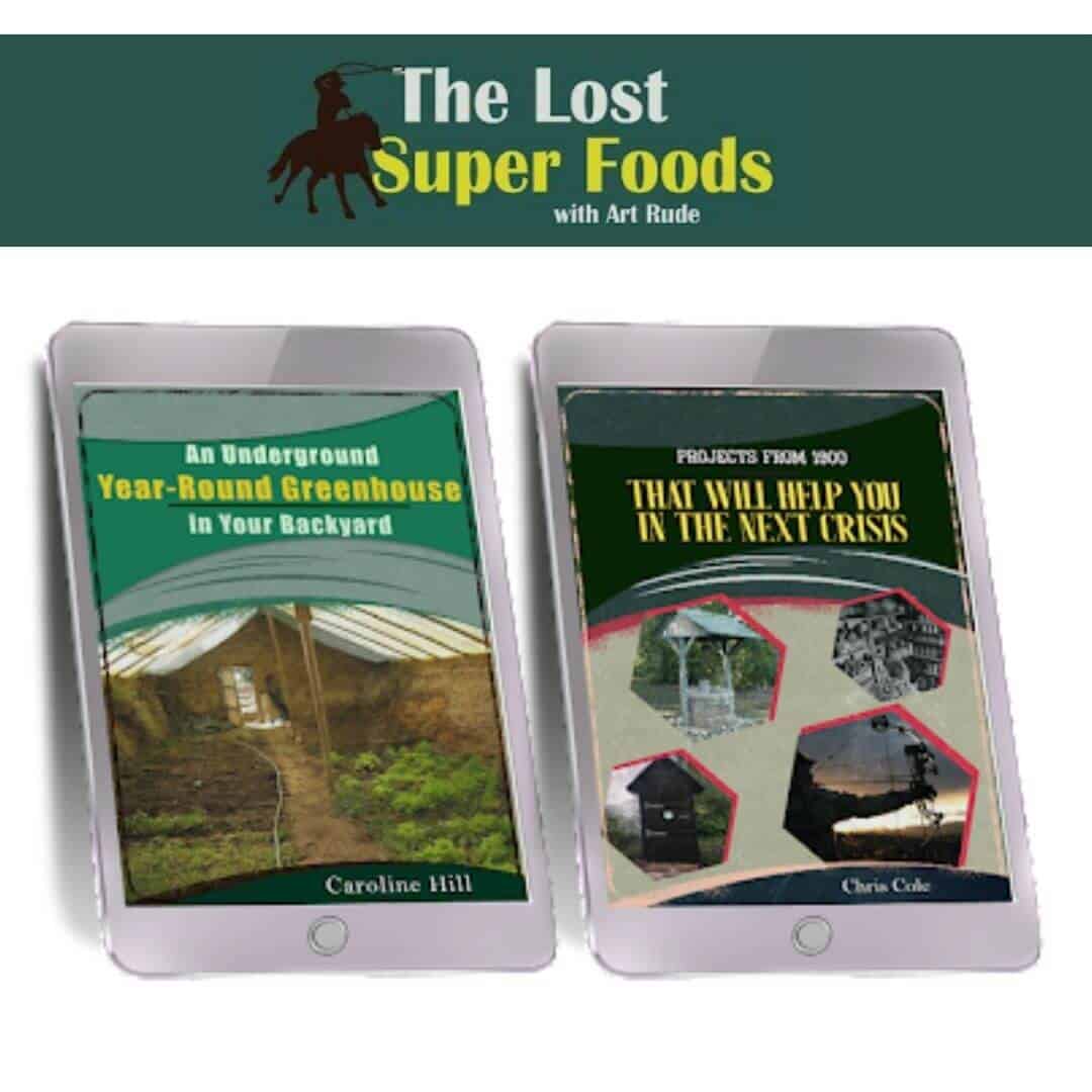 The Lost Superfoods Bonus