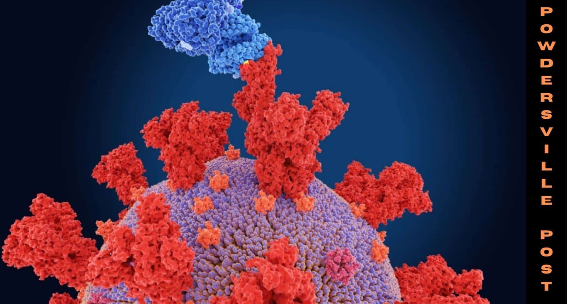 A Mutation In TLR7 Gene Is Associated With Severe SARS-CoV-2 Infection