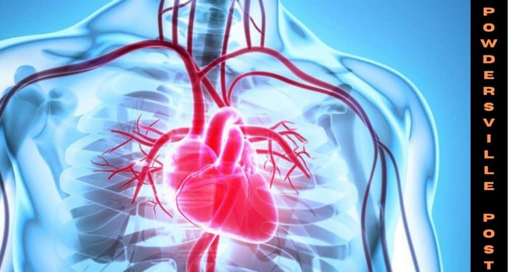 Can Research Help In Reducing The Cardiovascular Disparities 