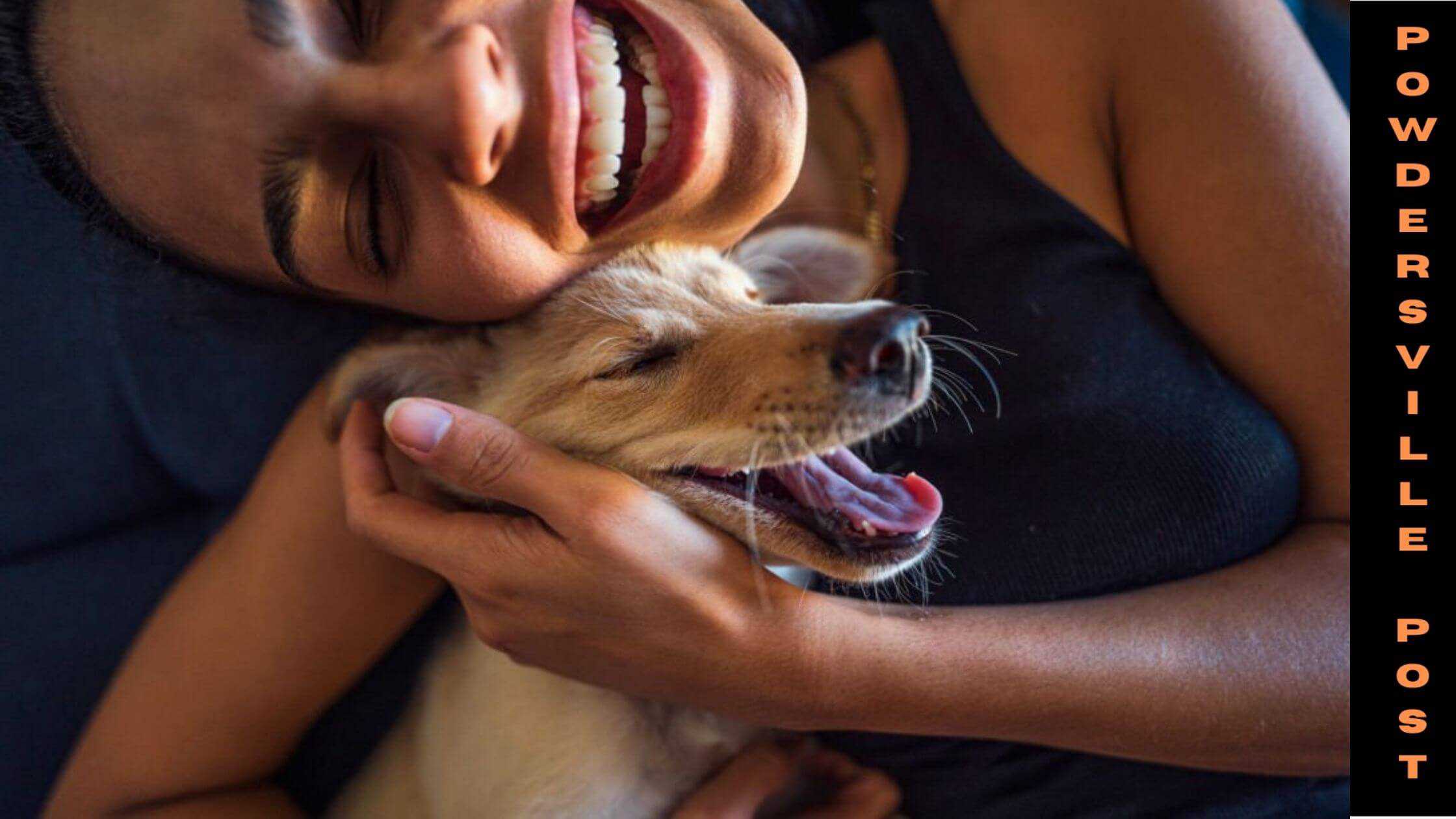 Furry Friends- Companions For Better Mental Health