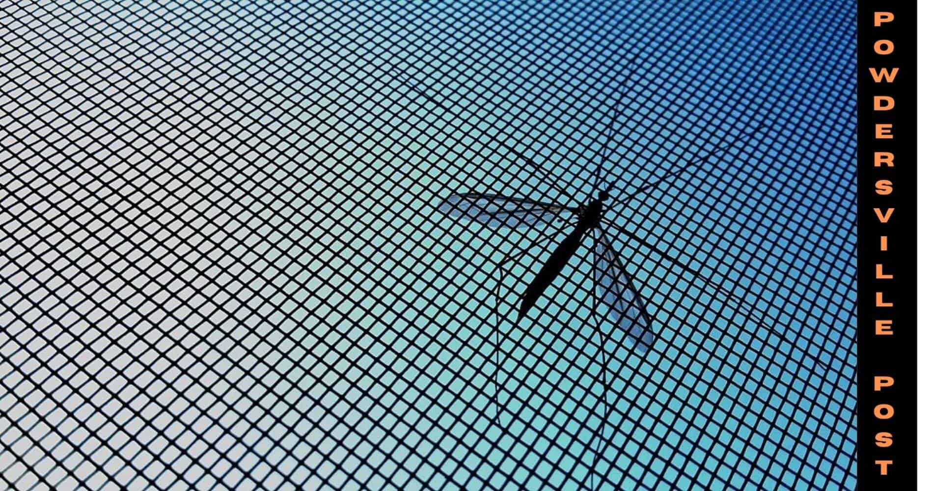 Inexpensive Mosquito Nets Prevent 40% of Child Deaths From Malaria