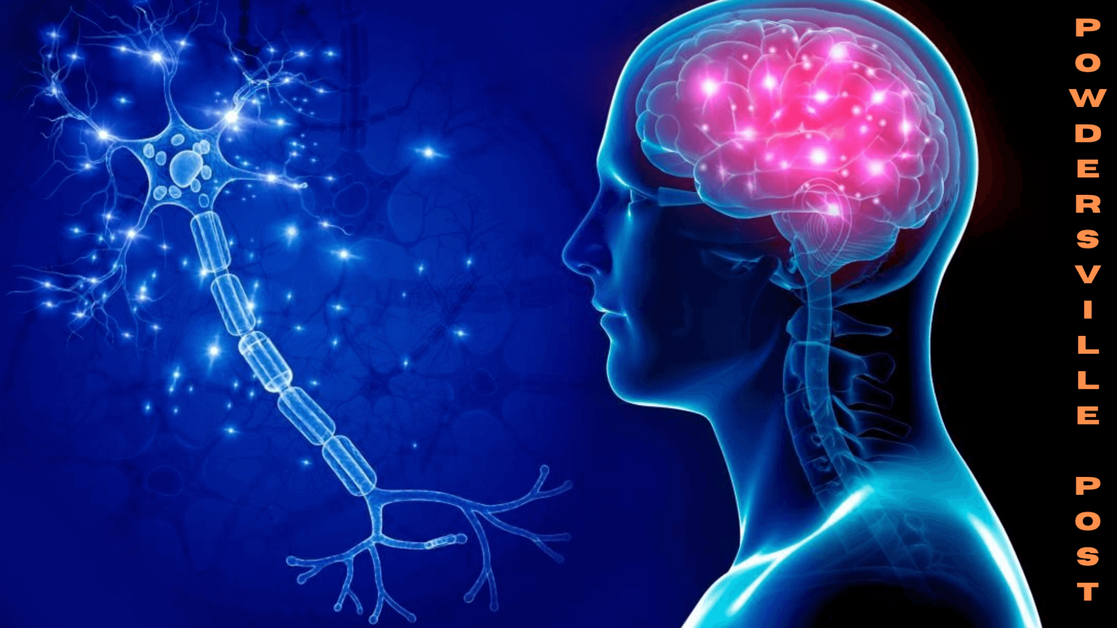 Study-Examines-Genetic-Link-Between-Brain-And-Schizophrenia-Risk