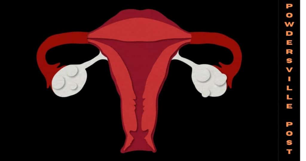 Why Cervical Cancer Affects Black Women More Latest News! 