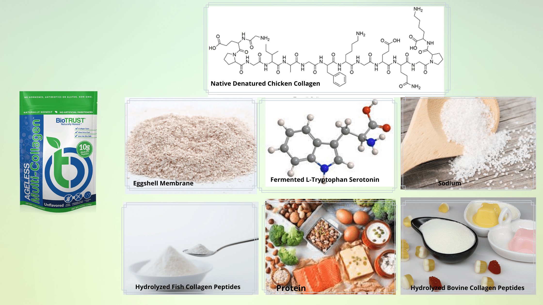 Biotrust Ageless Multi Collagen Ingredients