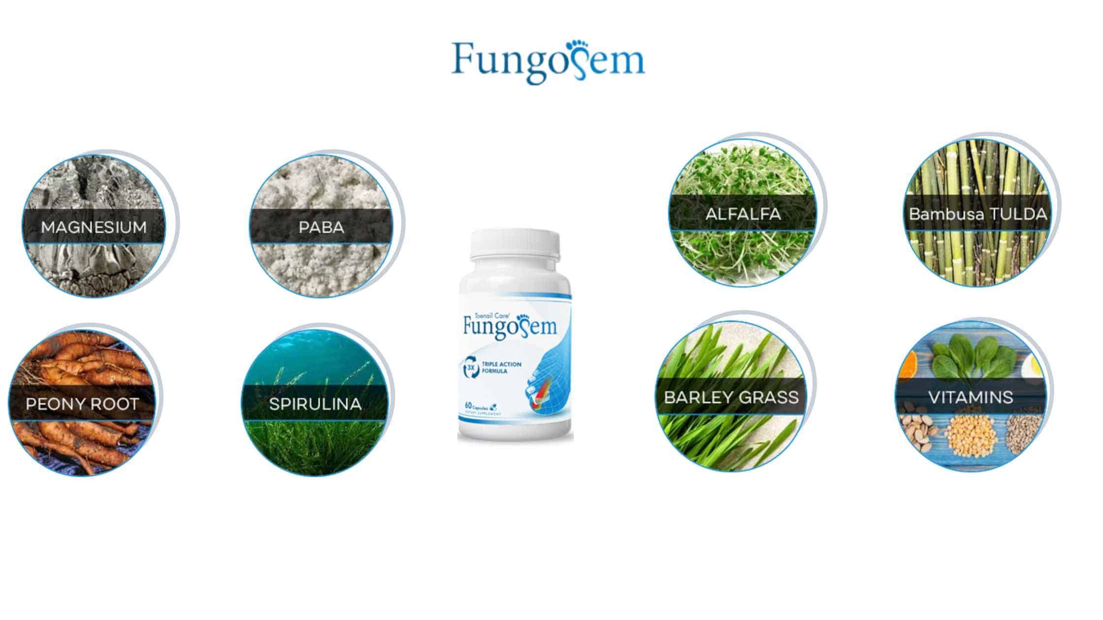 FungoSem Ingredients
