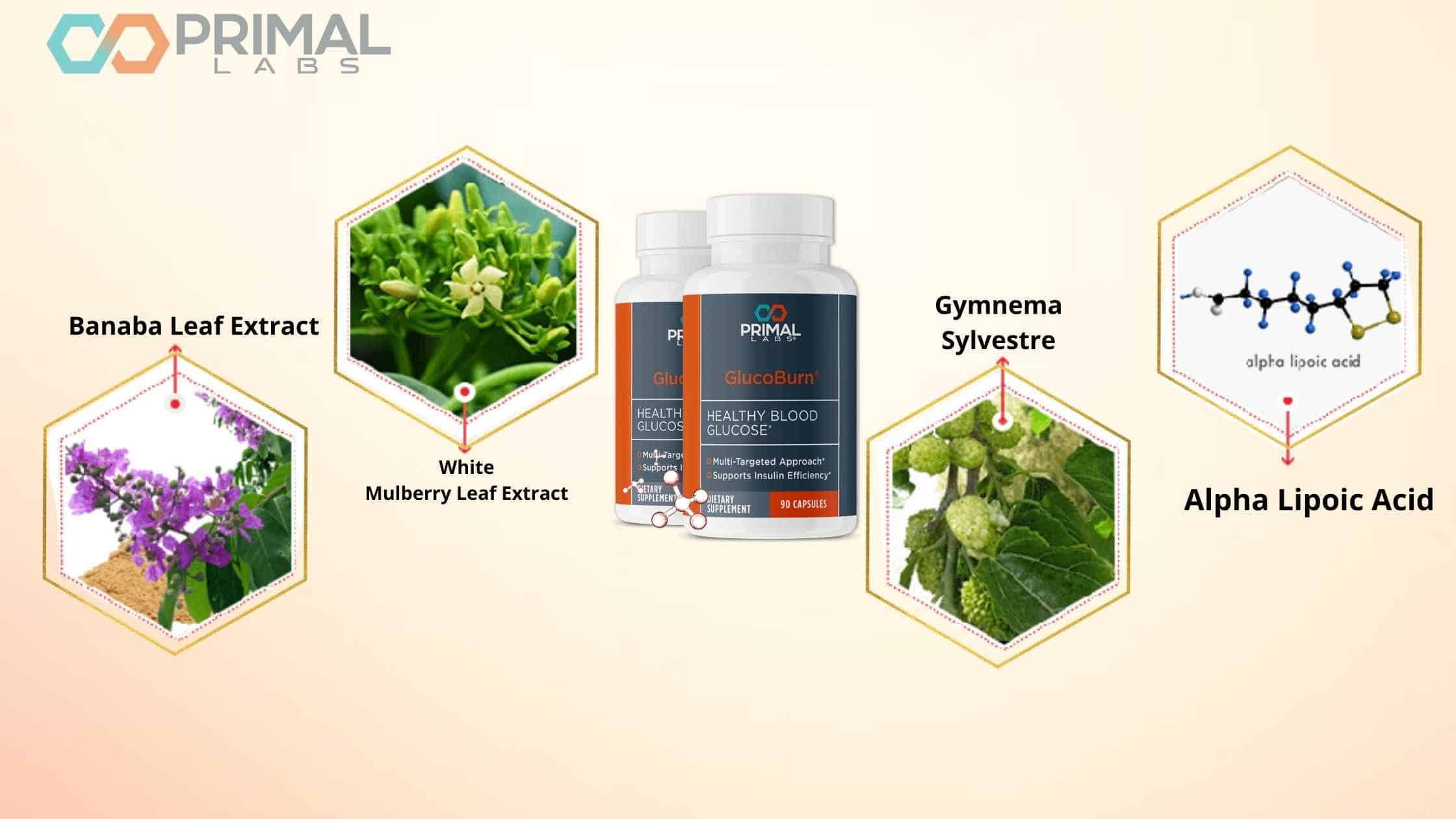 GlucoBurn Ingredients