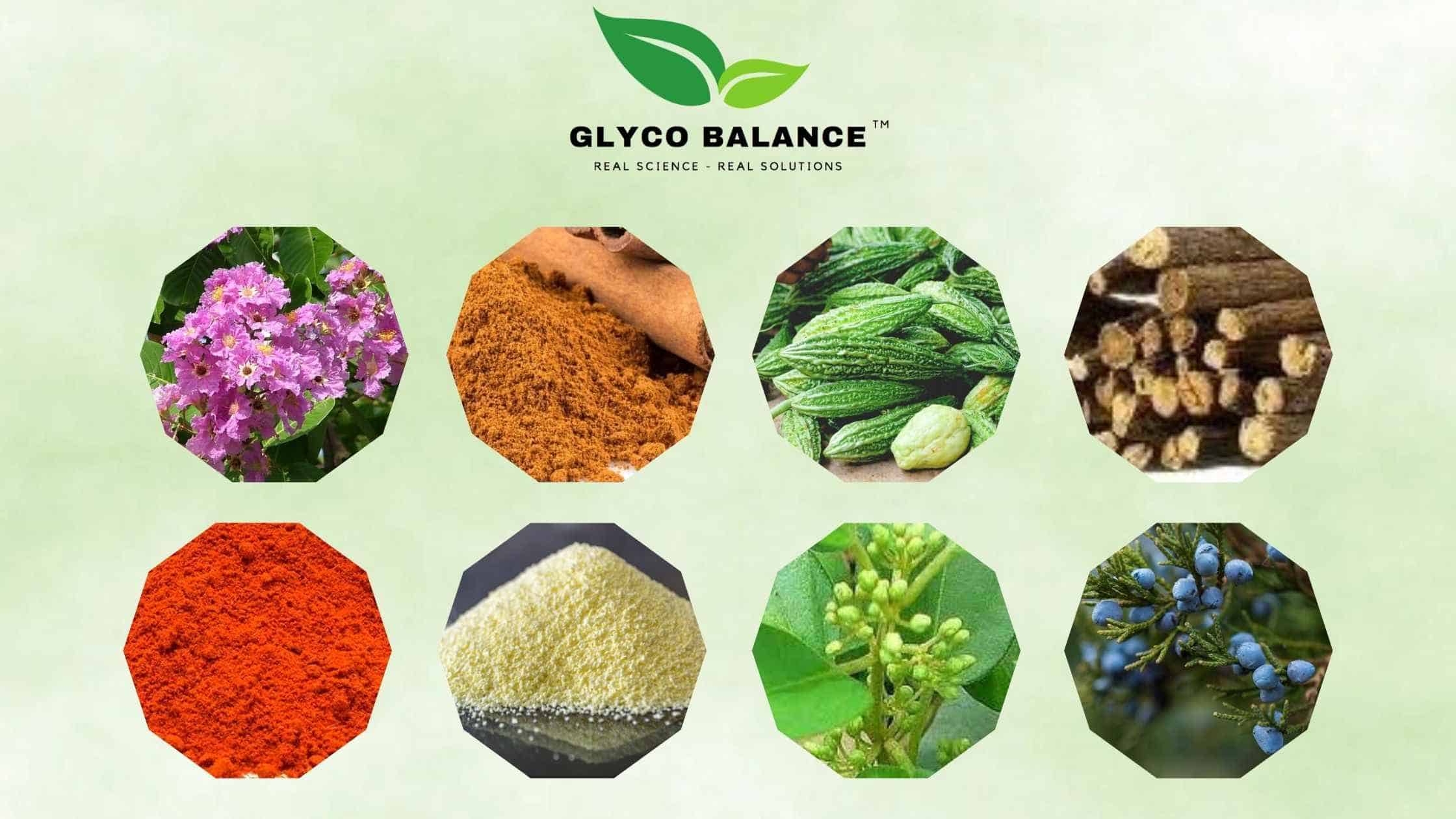 GlycoBalance Ingredients