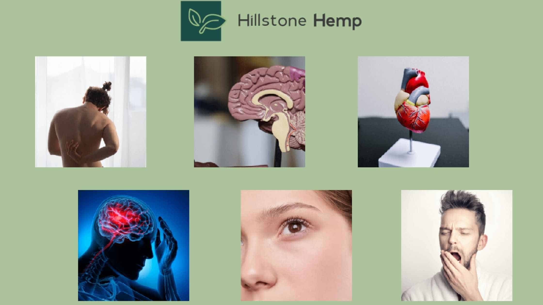 Hillstone Hemp CBD Gummies Working