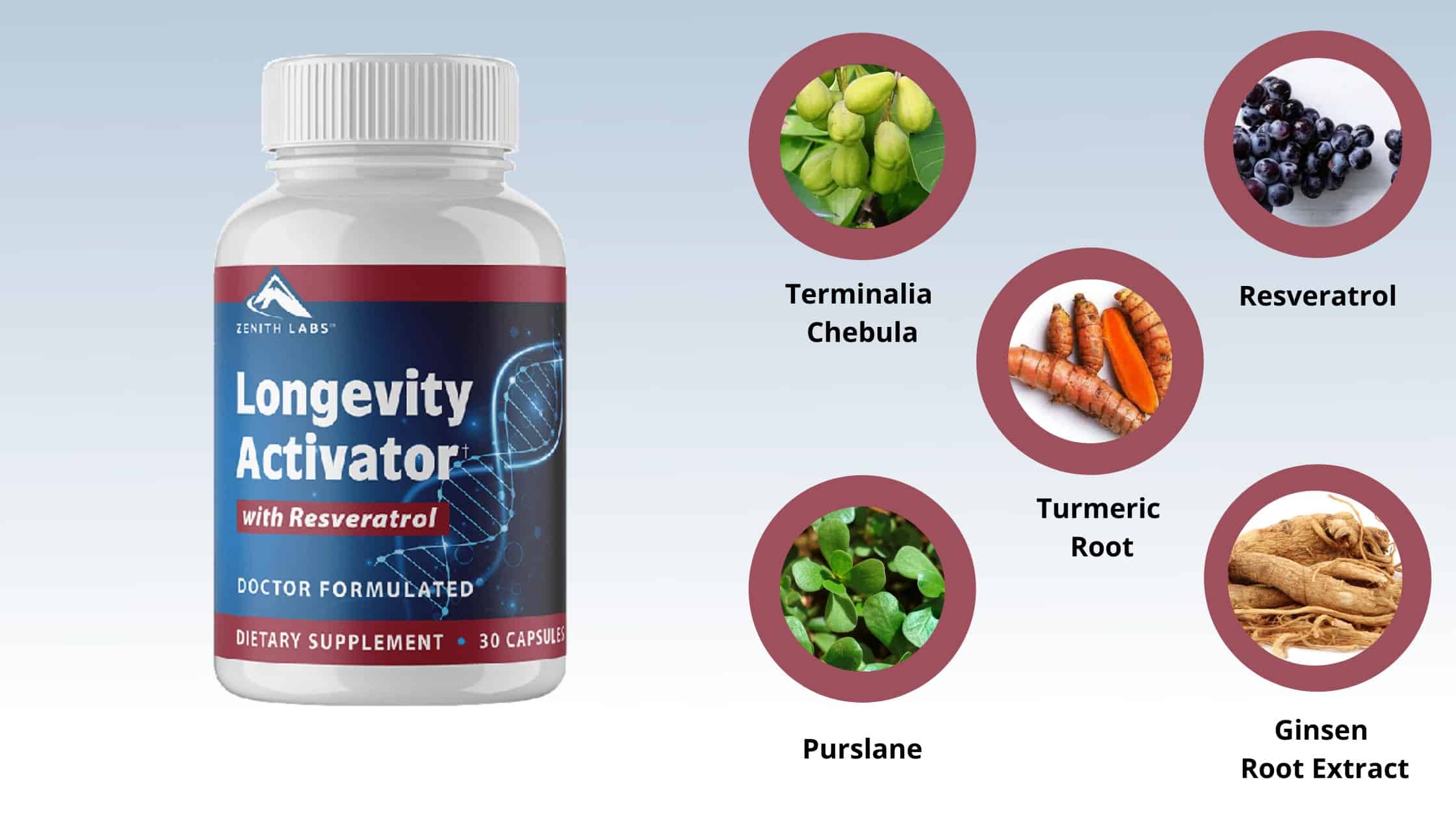 Longevity Activator ingredients