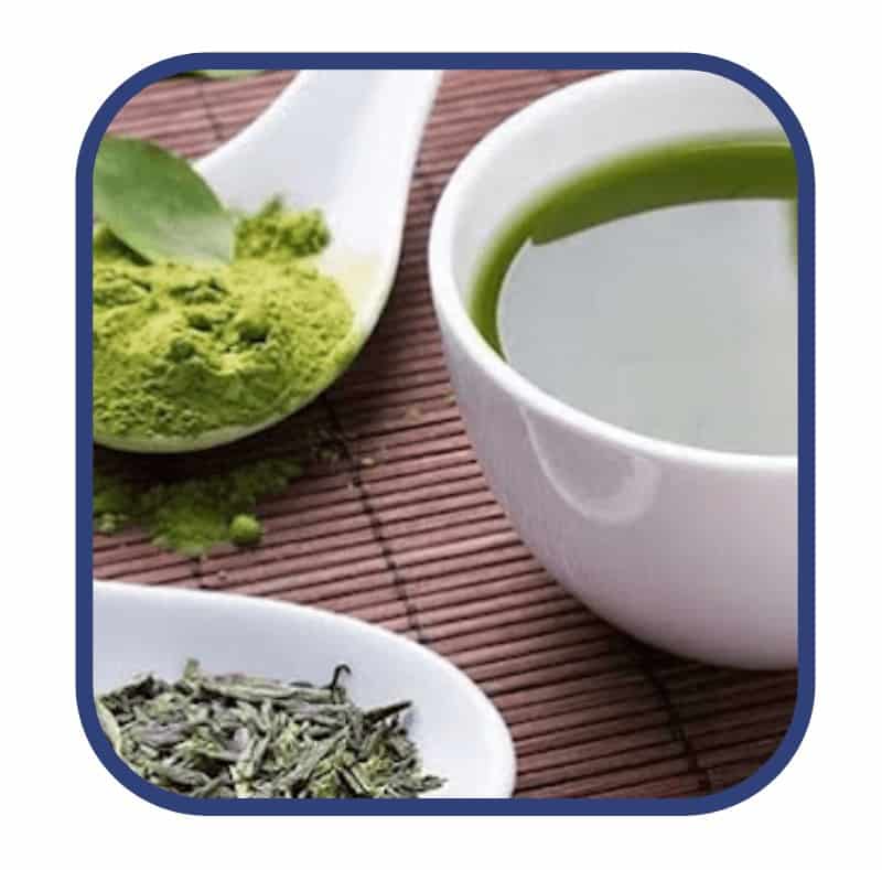 Morning Fat Melter Ingredient Green Tea Extract