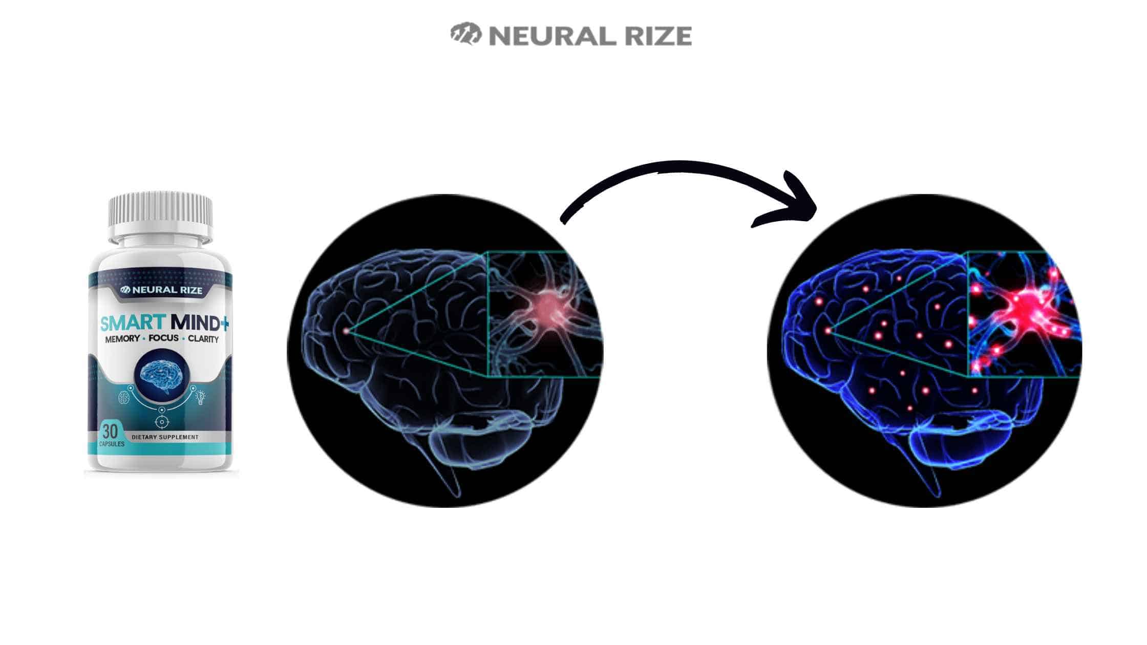 Neural Rize Smart Mind Working