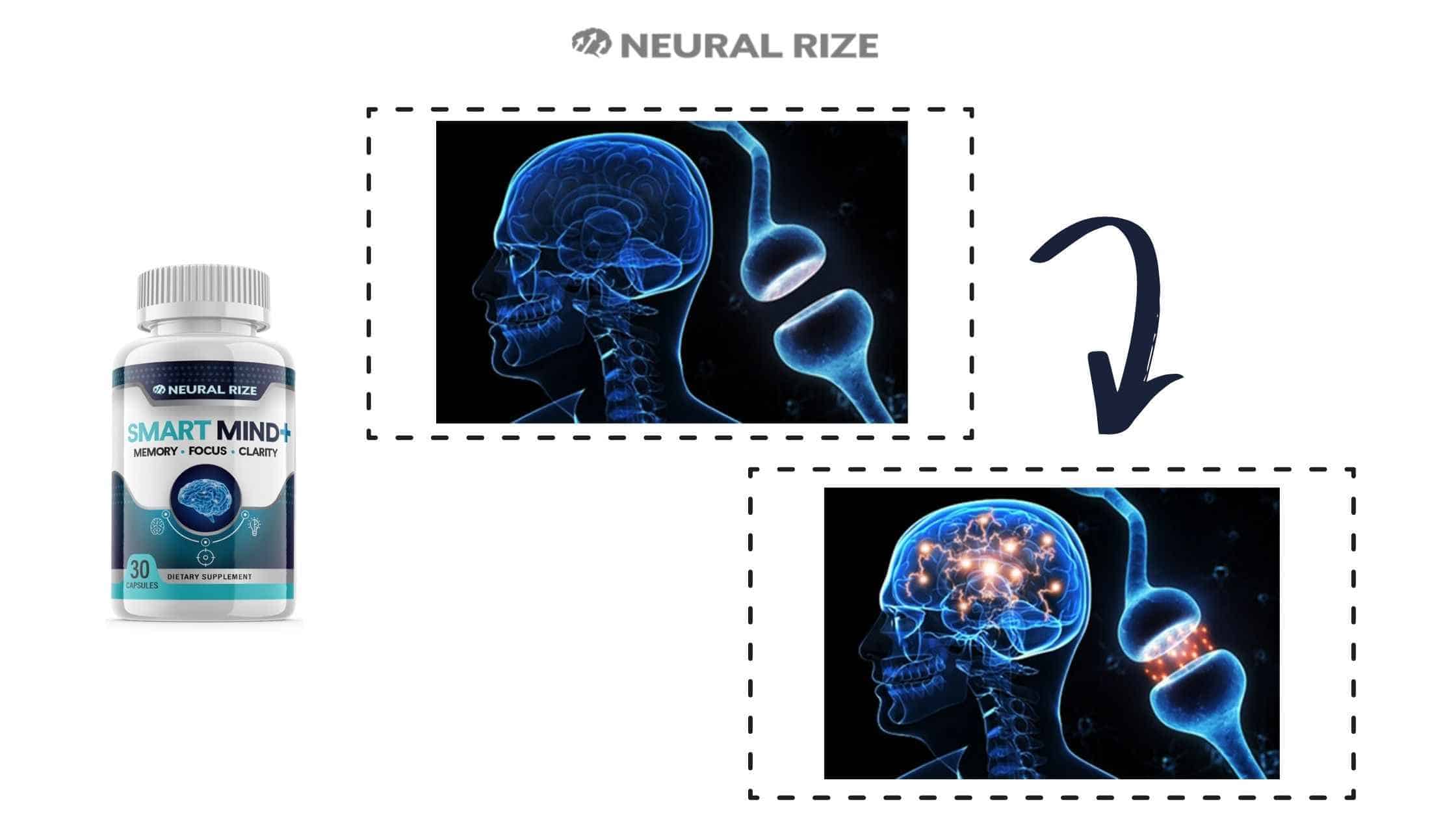 Neural Rize Smart Mind Benefits