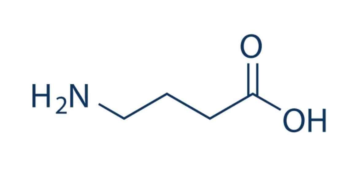 ReVision Ingredient Gamma-Aminobutyric Acid (GABA)