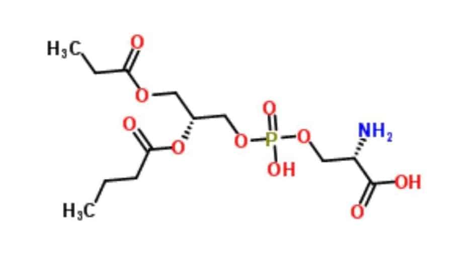 ReVision Ingredient Phosphatidylserine