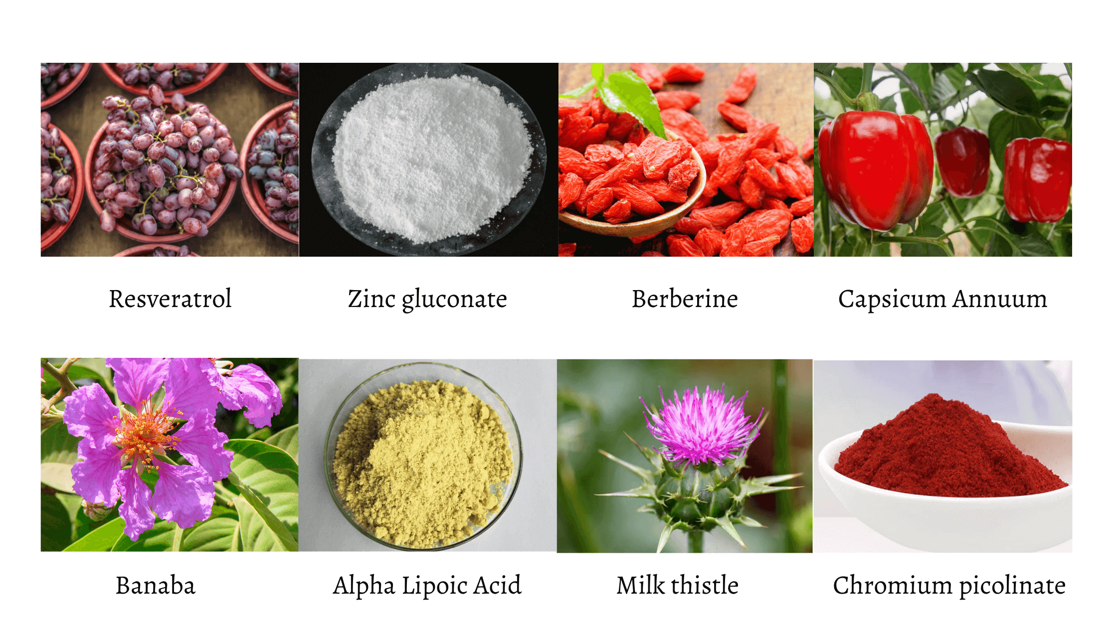 Resveratone Ingredients