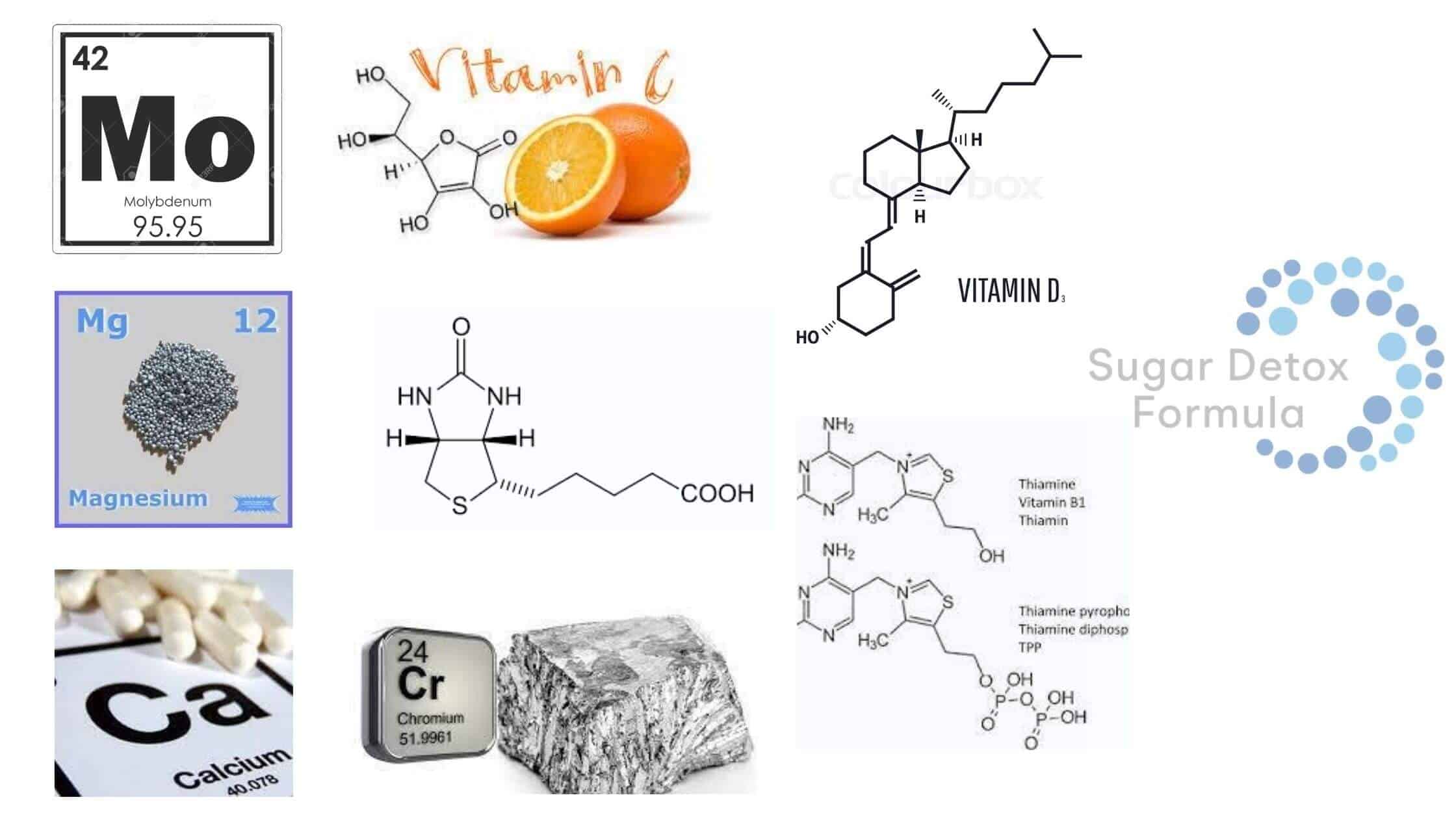 Sugar Detox Formula Ingredients