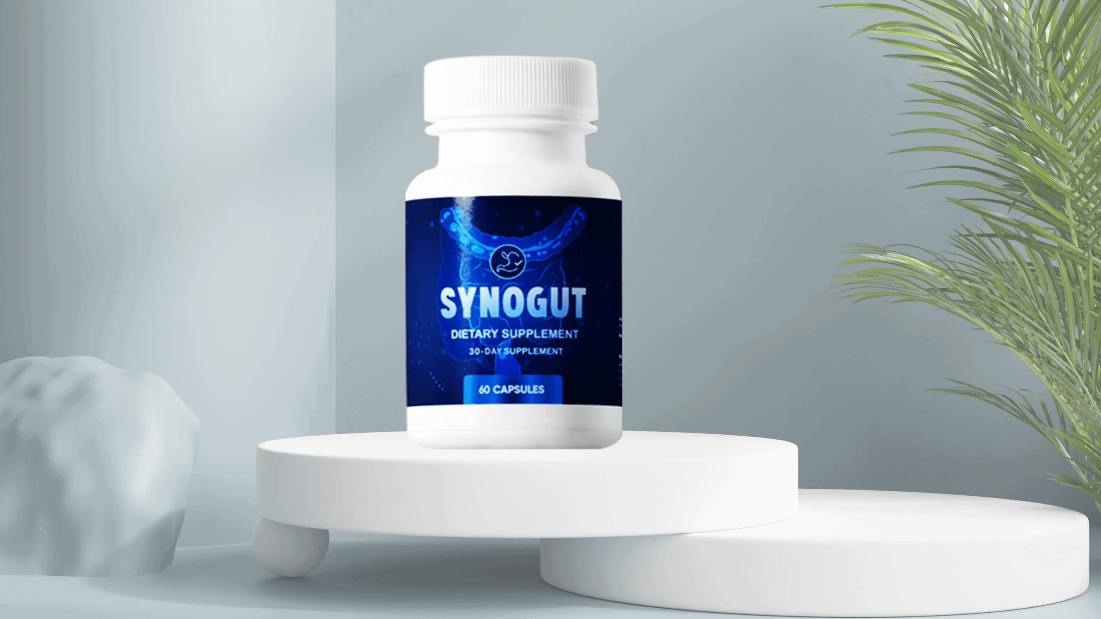 SynoGut Review