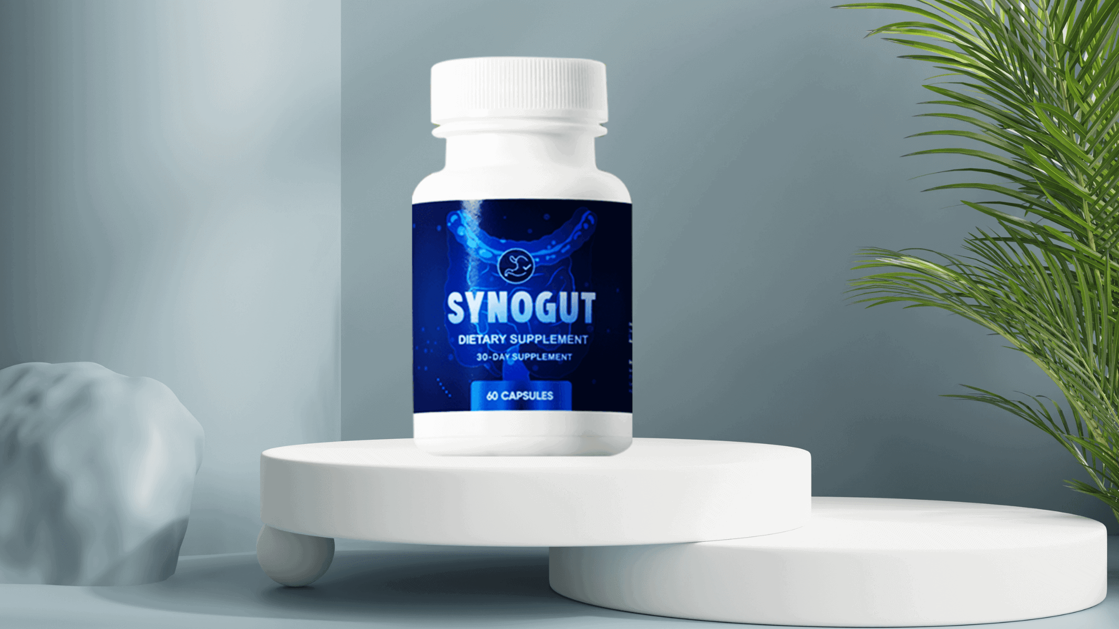 SynoGut Reviews