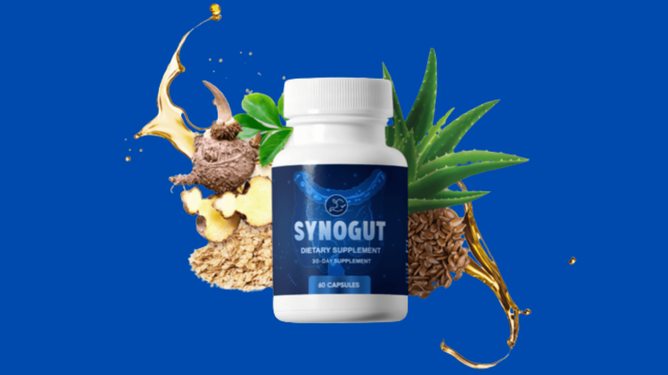 Synogut Benefits