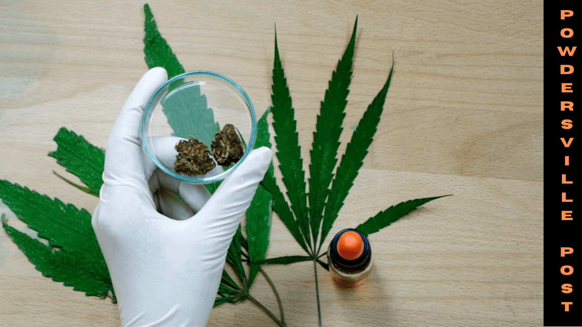 THC Level Raised For Positive Test In Athletes By NCAA