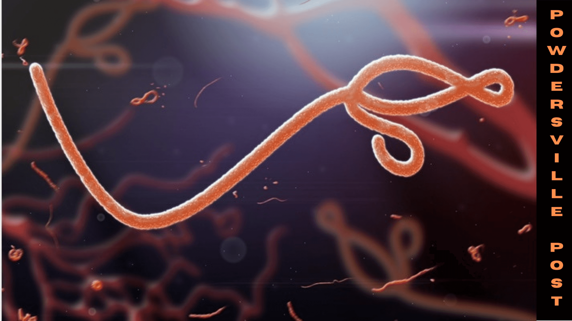 The Ebola Vaccine Offers Long-Term Protection Study Founds