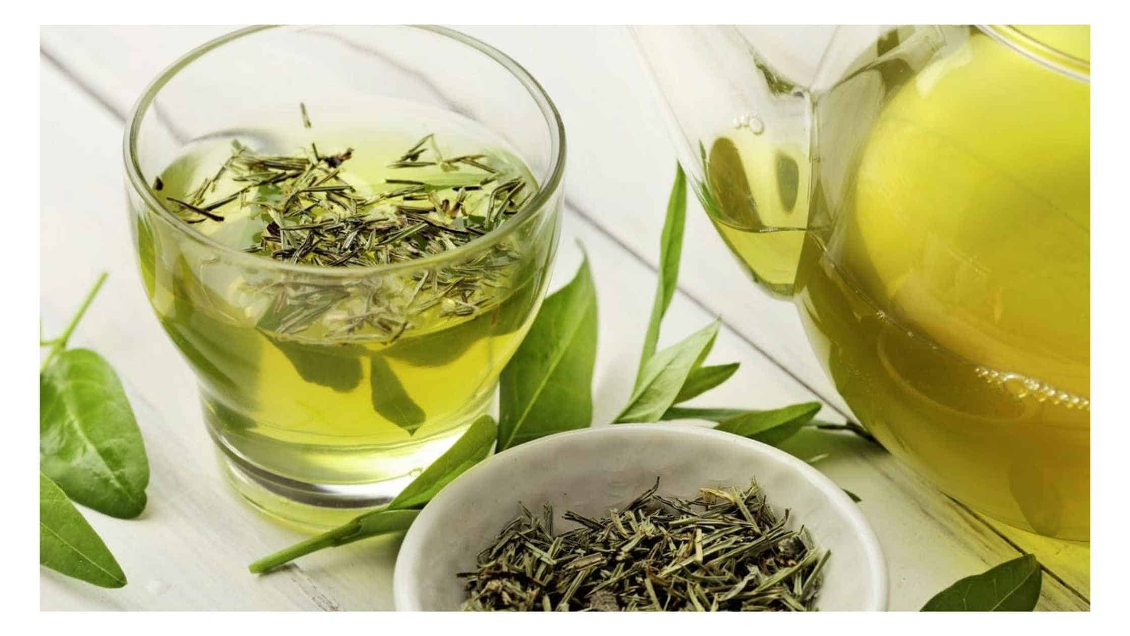 UltraFX10 Ingredient - Green Tea