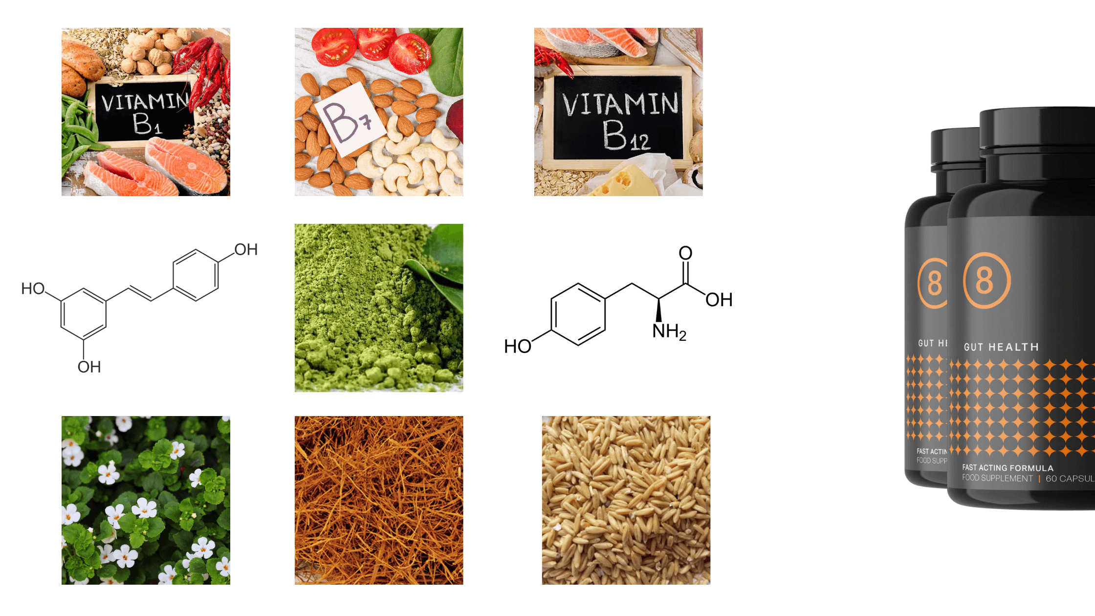 Biotics 8 Ingredients