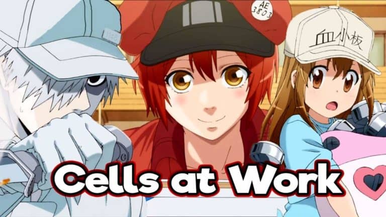 Cells At Work Season 2 Release Date, Plot, And Storyline!!!