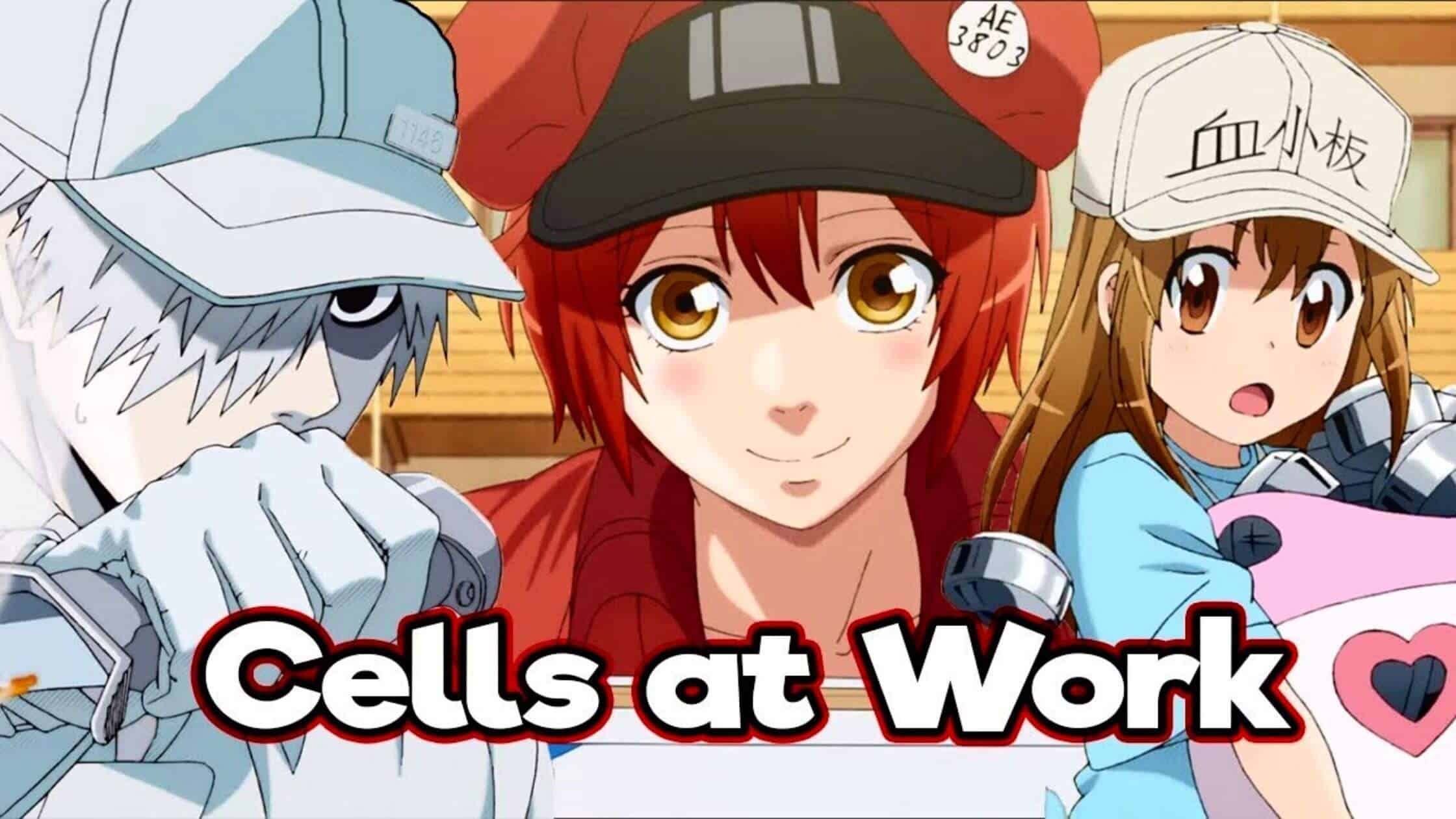 Cells At Work Season 2 Release Date, Plot, And Storyline