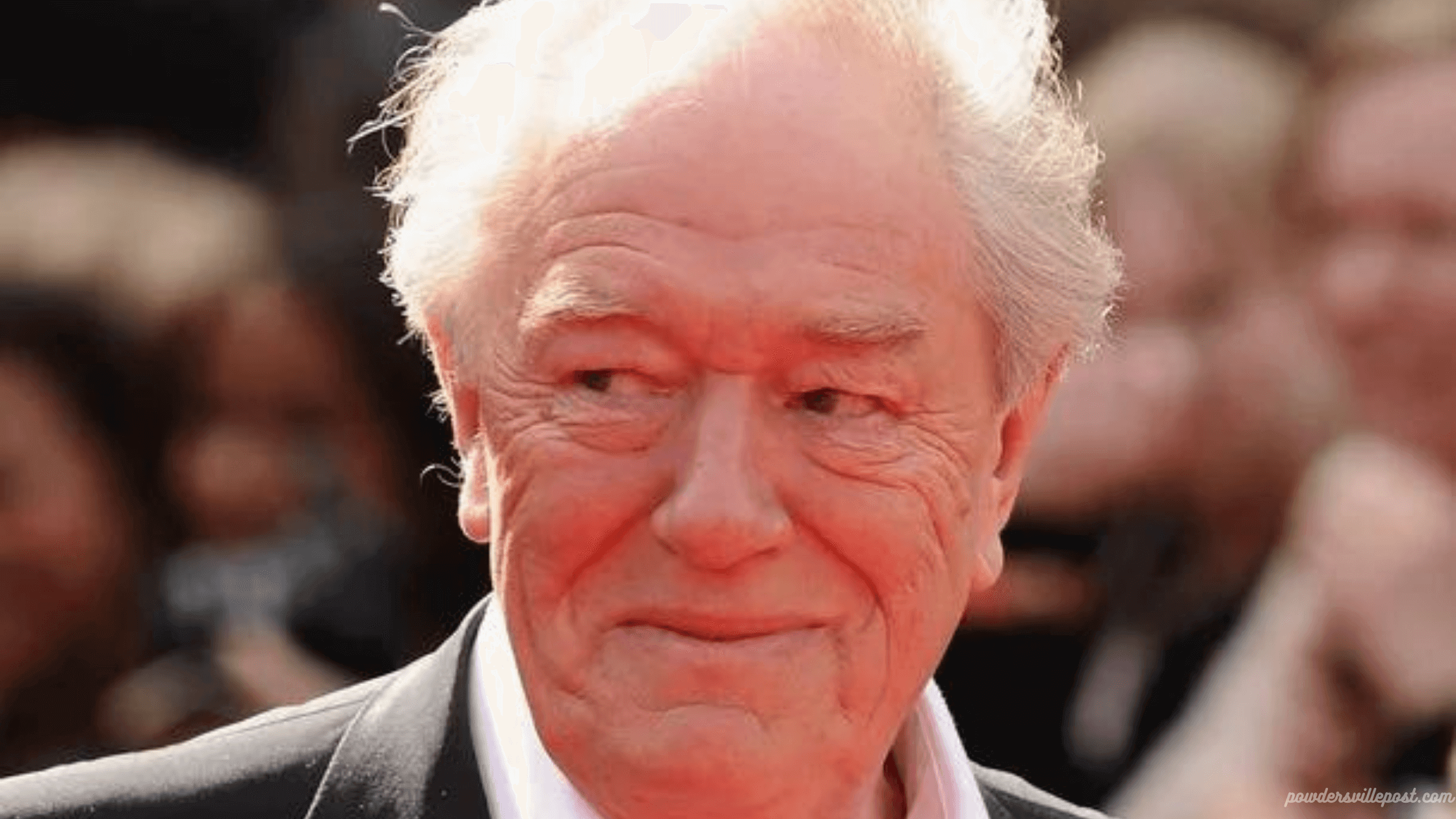 Lesser Known Facts About Michael Gambon's Wiki, Age, Height, Net Worth, Wife, Marriage