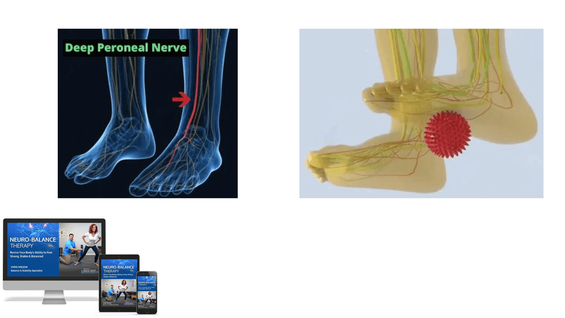 Neuro-Balance Therapy Working