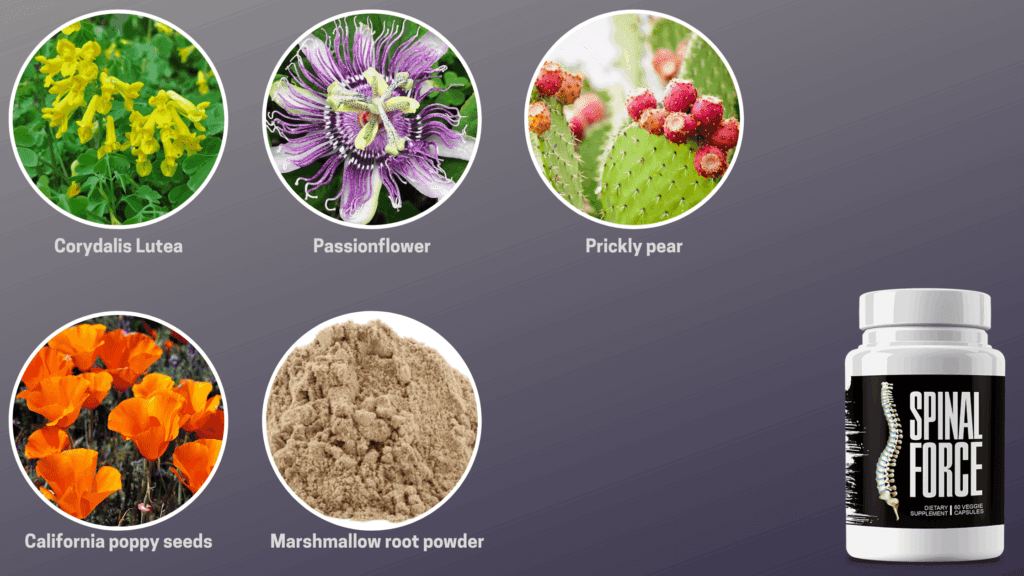 Spinal Force Ingredients