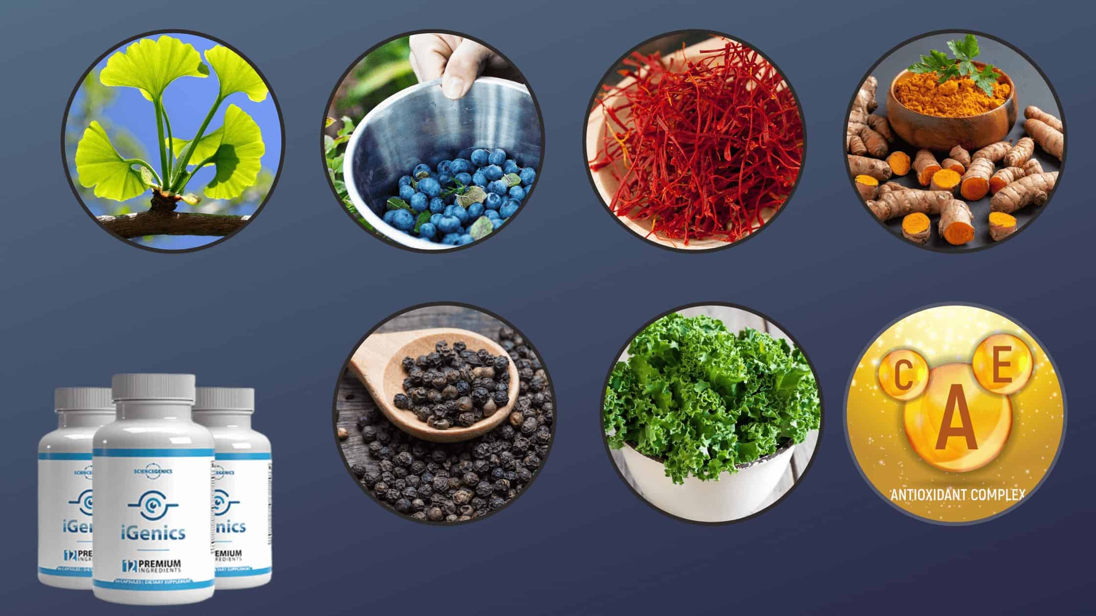 iGenics Ingredients