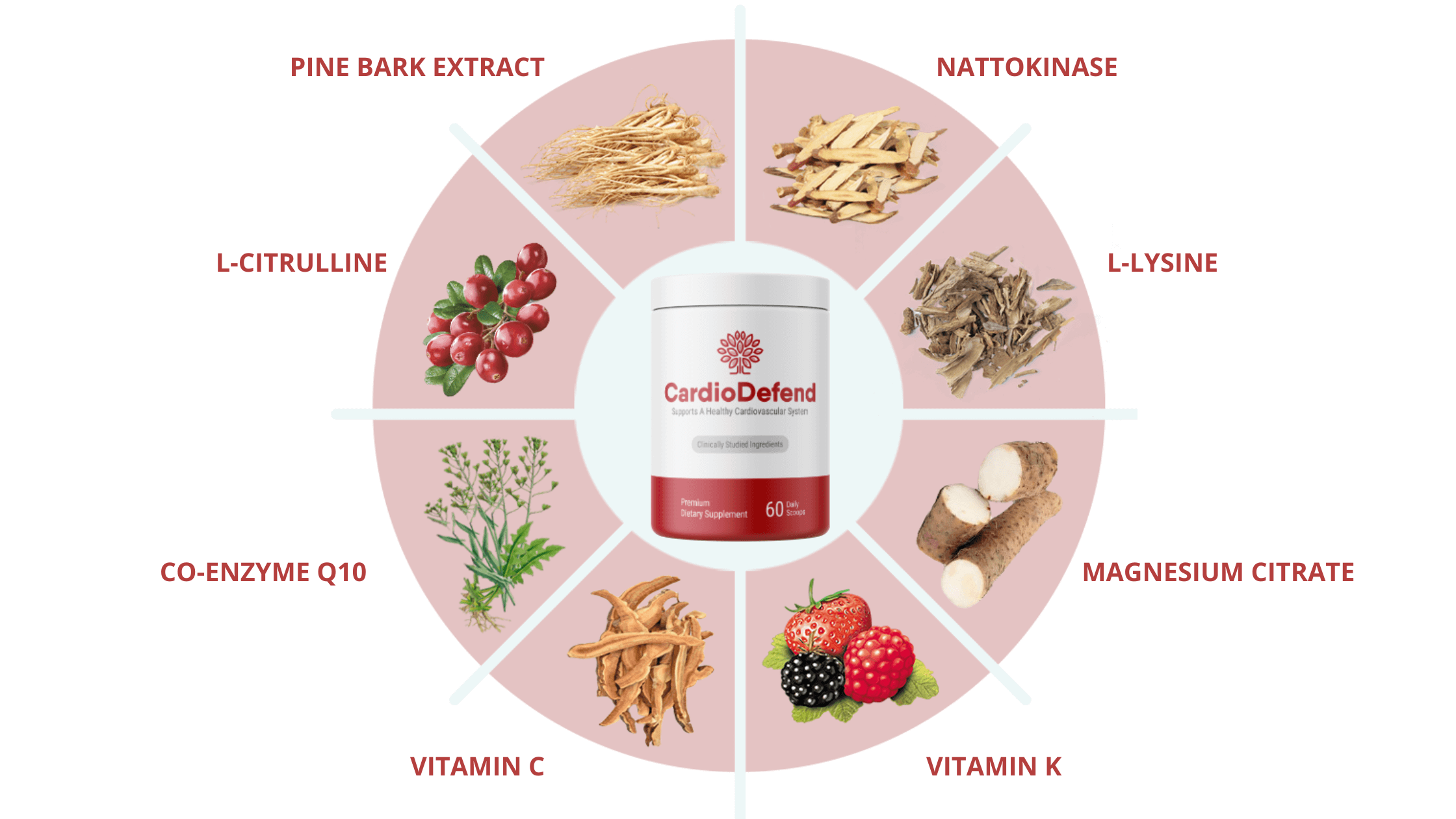 CardioDefend Ingredients