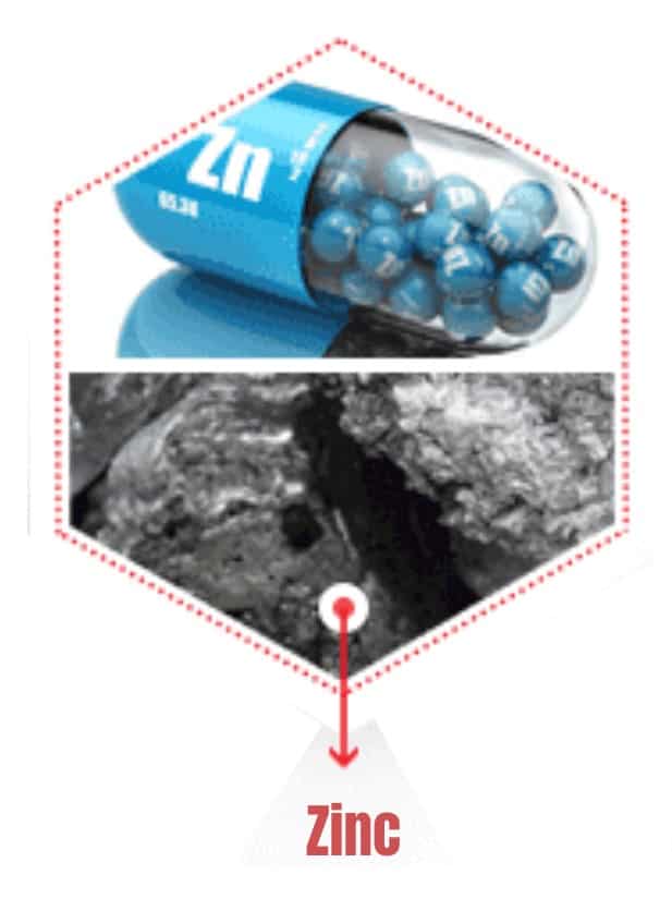 Glucose 1 Ingredient Zinc