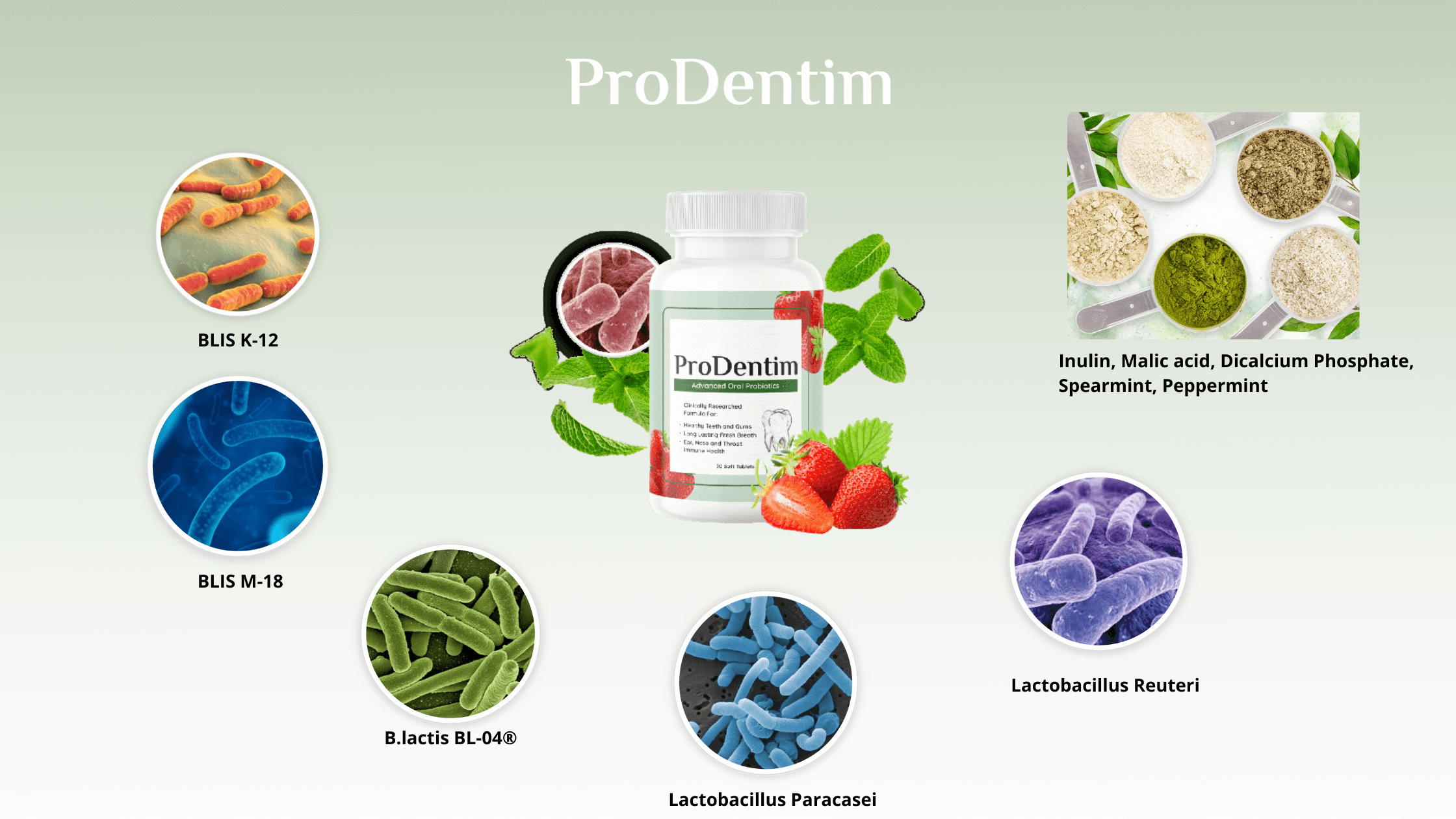 ProDentim Ingredients