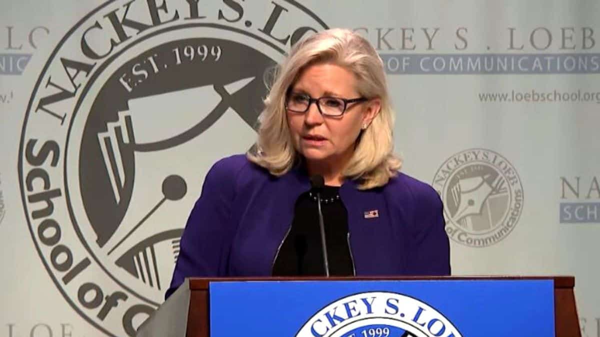 The US Is 'Confronting A Domestic Threat' In Donald Trump, Said By Liz Cheney
