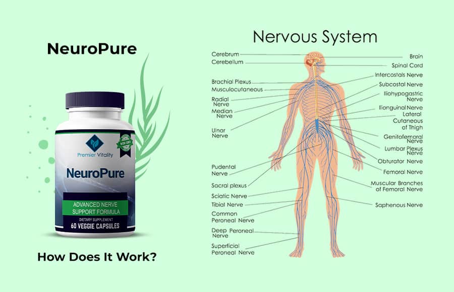 NeuroPure Work On Relaxing Your Nerves